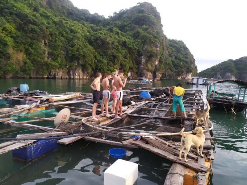 Cat Ba: 2-Day Lan Ha Bay Cruise with Plankton Excursion - The Sum Up