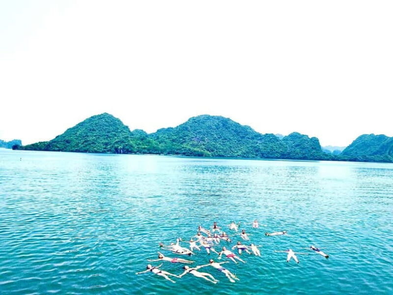 CAT BA :2D1N Lan Ha bay-Ha Long bay with Plankton Excursion - An In-Depth Look at the 2D1N Lan Ha Bay & Ha Long Bay Tour