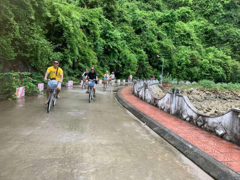 Cat Ba beauties both day and night, both park and bay - Who Will Love This Experience?