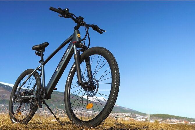 Cat Ba Bike Rental - The Real Value: Why This Is a Smart Choice