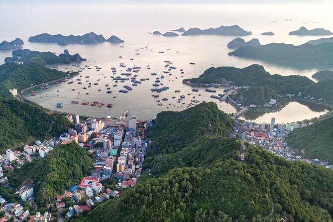 Cat Ba Cruise 2D1N With Option Pick up From Hanoi. - An In-Depth Look at the 2-Day Cat Ba Cruise Experience