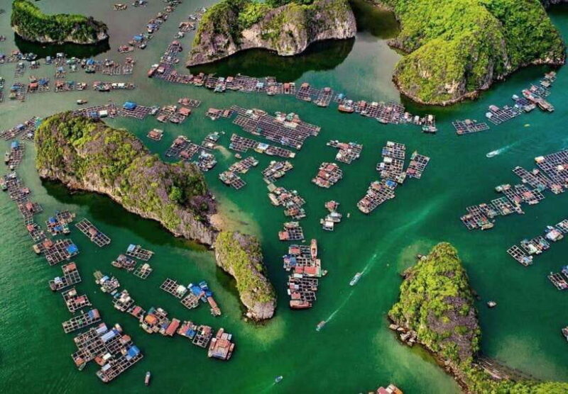 Cat Ba Island-Lan Ha Bay Day Trip: Kayaking, Swimming,Biking - Introduction: Why This Tour Might Be Your Best Day in Lan Ha Bay