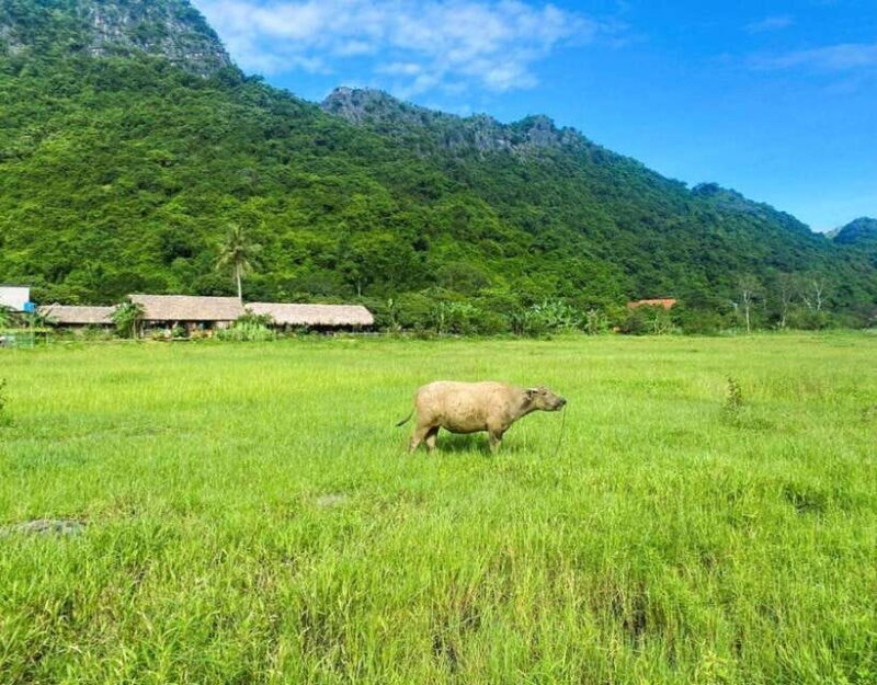 Cat Ba Island-Lan Ha Bay Day Trip: Kayaking, Swimming,Biking - What Makes This Tour Stand Out?