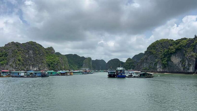Cat Ba Island, Lan Ha Bay Sightseeing Cruise Full Day Tour - The Experience in Detail: What to Expect