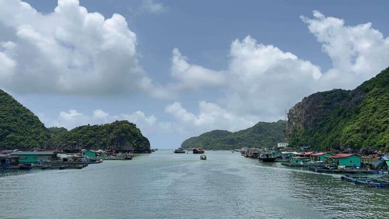 Cat Ba Island National Park Trekking And Lan Ha Bay Kayak - Final Thoughts