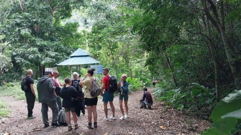 Cat Ba: National Park Day Trip with Cycling and Kayaking - Discovering Cat Ba: An Adventurous Day in Nature