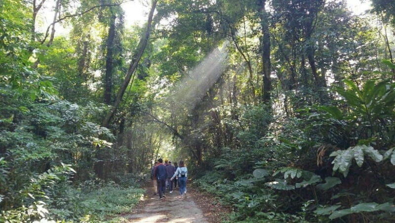 Cat Ba: National Park Day Trip with Cycling and Kayaking - Who Will Love This Tour?