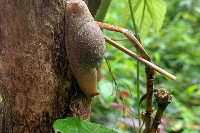 Cat Ba National Park Full Day Trekking Tour to Viet Hai Village - What Travelers Are Saying