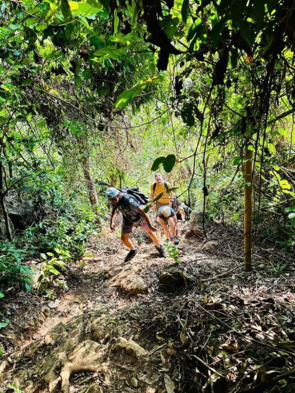 Cat Ba National Park, Lan Ha Bay 2 Days 1 Night Adventure - Authentic Experiences and Guided Insights