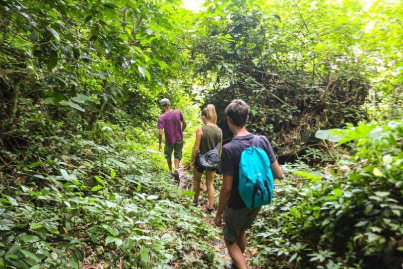 Cat Ba: National Park Trek, Village Visit and Kayak Day Tour - FAQ