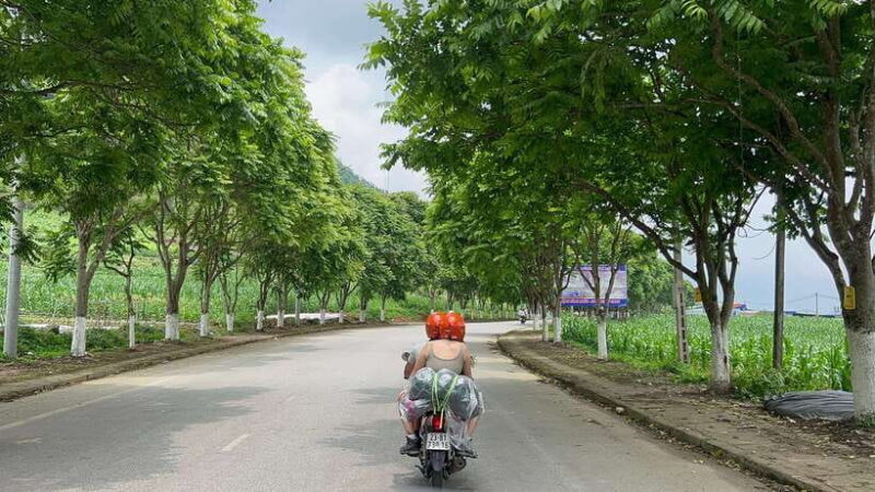 Cat Ba National Park, Viet Hai, Lan Ha Bay Full Day Eco Tour - Frequently Asked Questions
