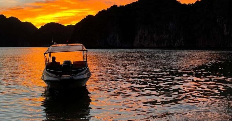 Cat Ba: Sunset and Plankton Bioluminescent Night Kayak - What You Need to Know Before You Go