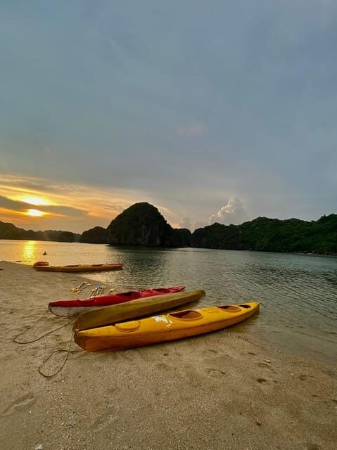 Cat Ba: Sunset and Plankton Bioluminescent Night Kayak - Who Should Consider This Tour?