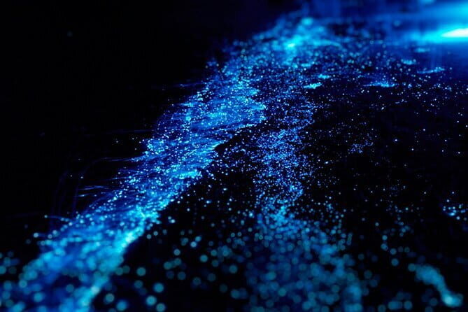 Cat Ba: Sunset & Bioluminescent Kayaking on Lan Ha Bay - Key Points