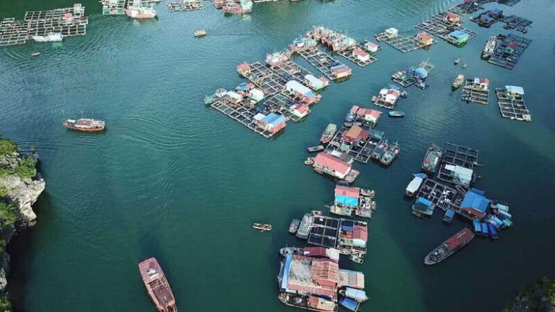 Cat Ba: Sunset on Lan Ha Bay with Kayak & Sunset Party - FAQs