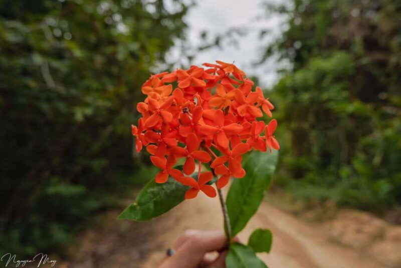 Cat Tien National Park Cycling Tour With Tri An Lake Camping - Who Will Love This Tour?