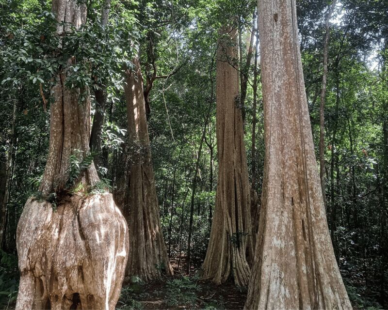 Cat Tien National Park with Crocodile Lake - Final Thoughts