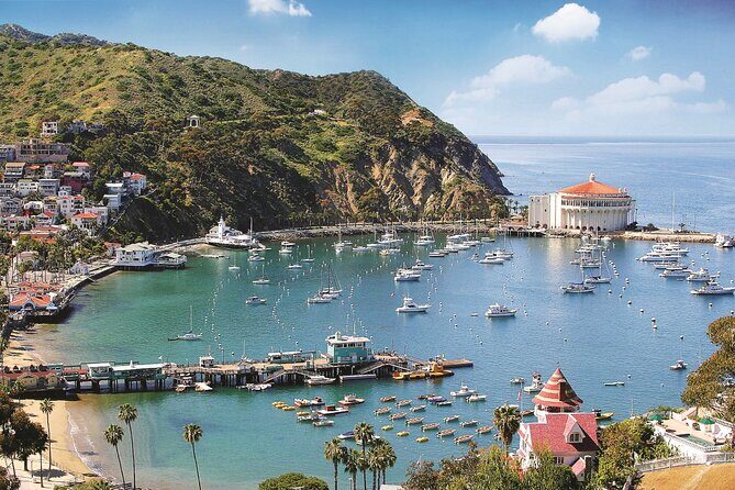 Catalina Express: Avalon to San Pedro One-Way Ferry - The Practical Details