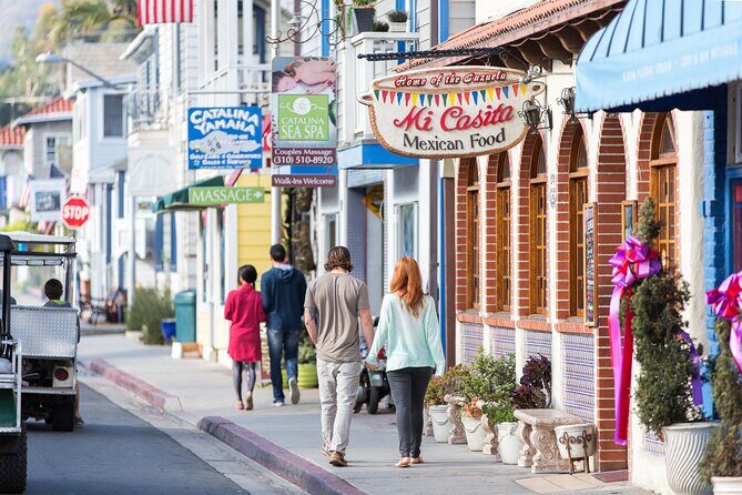 Catalina Express: Avalon to San Pedro One-Way Ferry - Who Should Consider This Ferry?