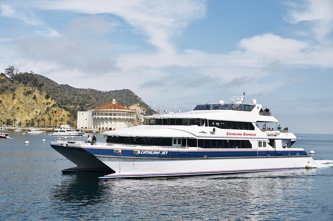 Catalina Express: San Pedro to Avalon One-Way Ferry - What Travelers Are Saying: Authentic Perspectives