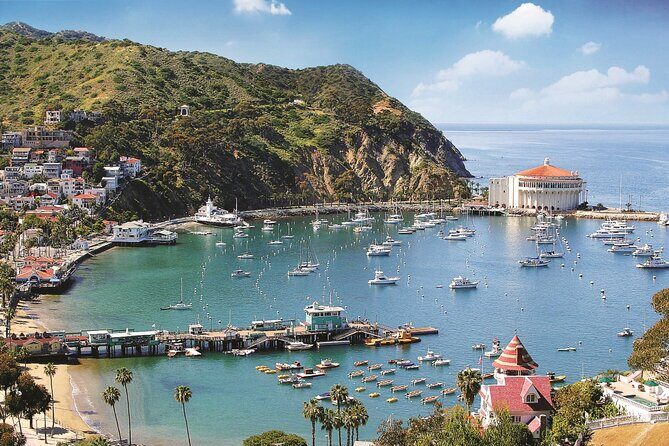 Catalina Express: San Pedro to Avalon One-Way Ferry - The Value of the Experience