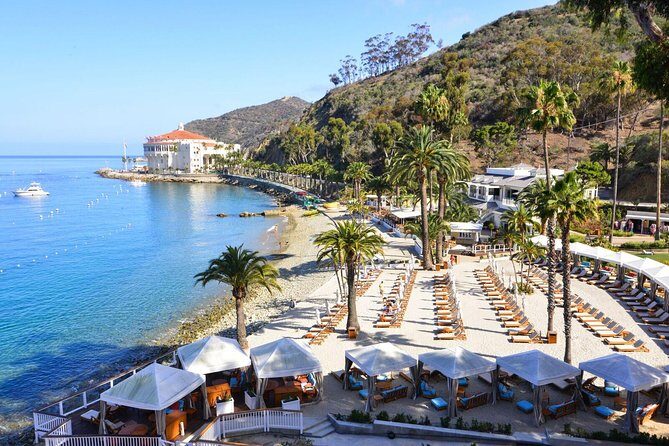 Catalina Express: San Pedro to Avalon One-Way Ferry - The Sum Up: Who Should Take This Ferry?