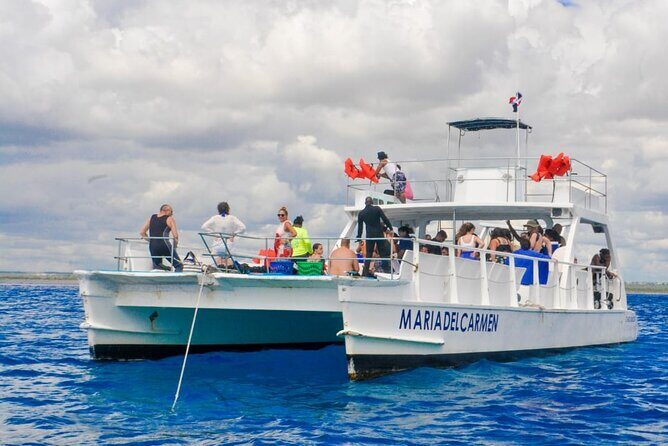 Catalina Island and Snorkeling - Full-day Trip - An In-Depth Look at the Catalina Island Snorkeling Trip