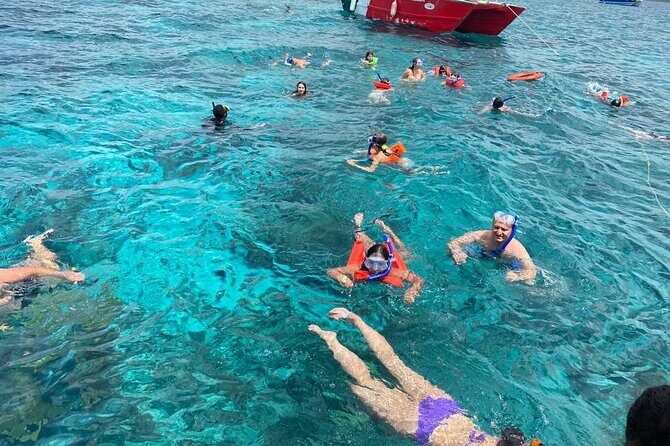 Catalina Island and Snorkeling - Full-day Trip - Final Thoughts