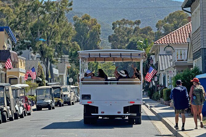 Catalina Island City and Scenic Mt Ada Tour - Key Points