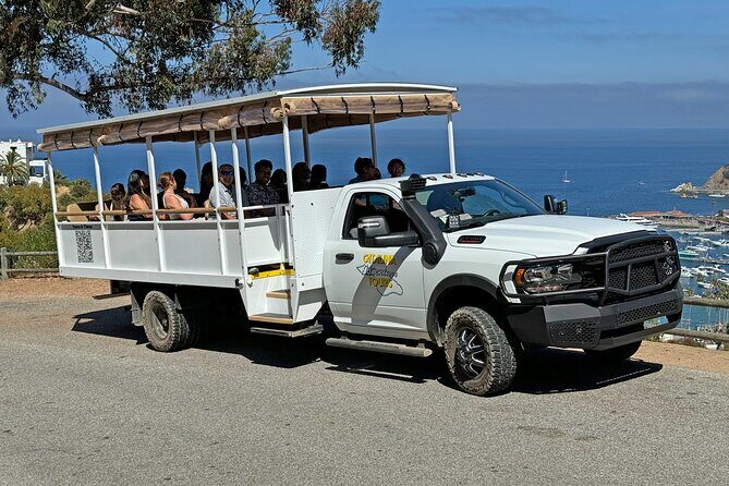 Catalina Island City and Scenic Mt Ada Tour - Final Thoughts: Is It Worth Your Time?