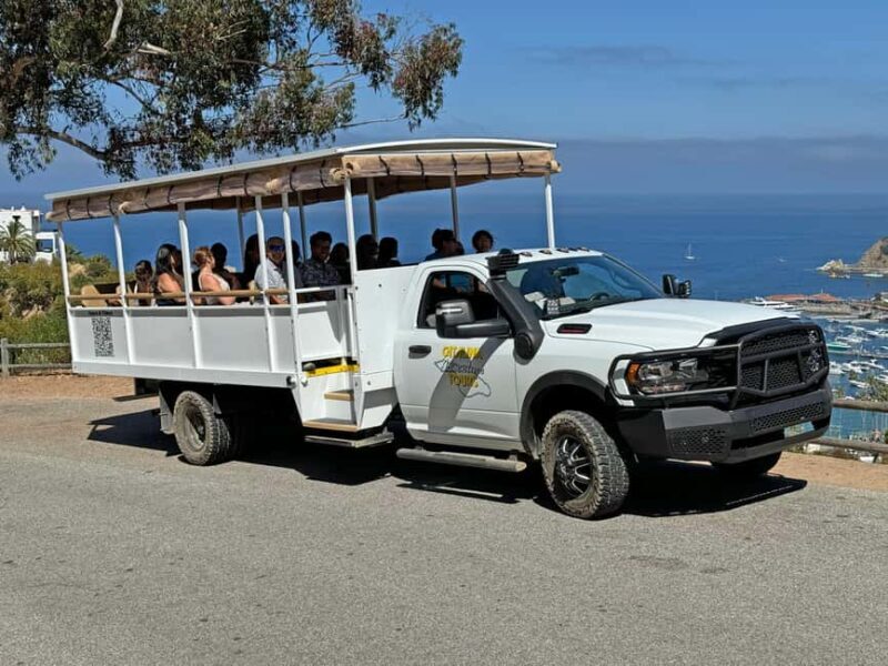 Catalina Island City & Scenic Mt. Ada Tour - Catalina Island City & Scenic Mt. Ada Tour