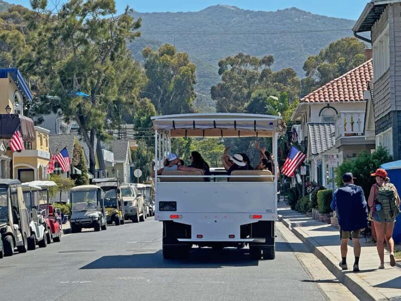 Catalina Island City & Scenic Mt. Ada Tour - Who Will Enjoy This Tour?