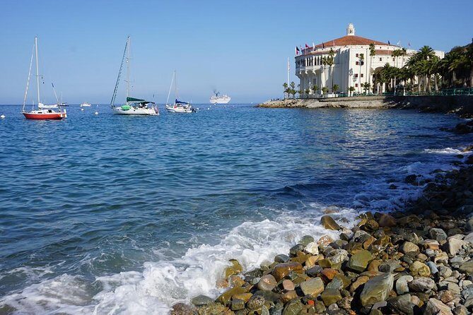 Catalina Island Day Trip from Anaheim Hotels with Discover Avalon Tour - What We Love About This Tour