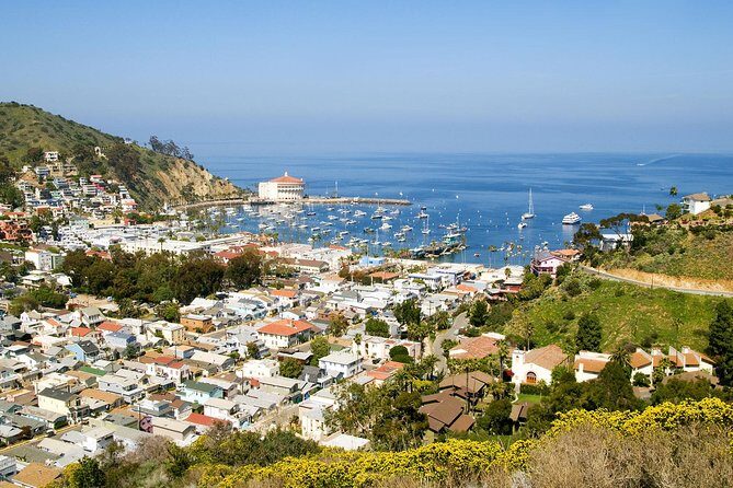 Catalina Island Day Trip from Anaheim Hotels with Discover Avalon Tour - Possible Drawbacks and Considerations