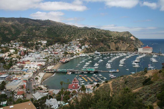 Catalina Island Day Trip from Anaheim Hotels with Discover Avalon Tour - Who Should Book This Tour?