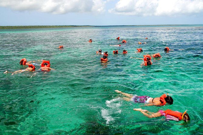 Catalina Island DayTrip + Great Snorkeling - Key Points