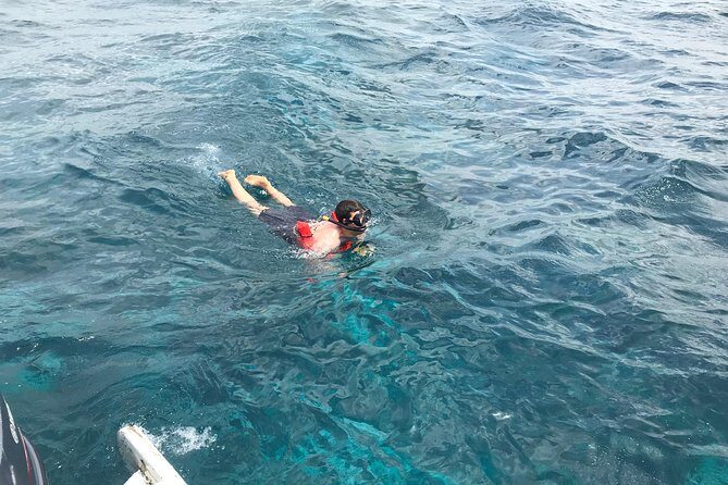 Catalina Island DayTrip + Great Snorkeling - Food and Drinks