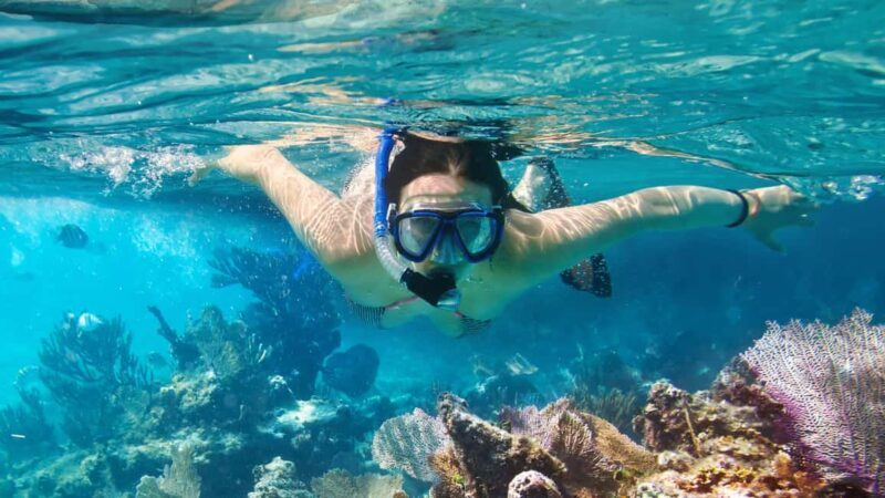 Catalina Island, even more pristine than Saona - An Overview of the Catalina Island Tour