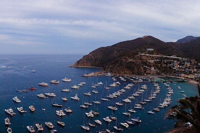Catalina Island Ferry Avalon to Newport Beach - The Boat and Onboard Experience
