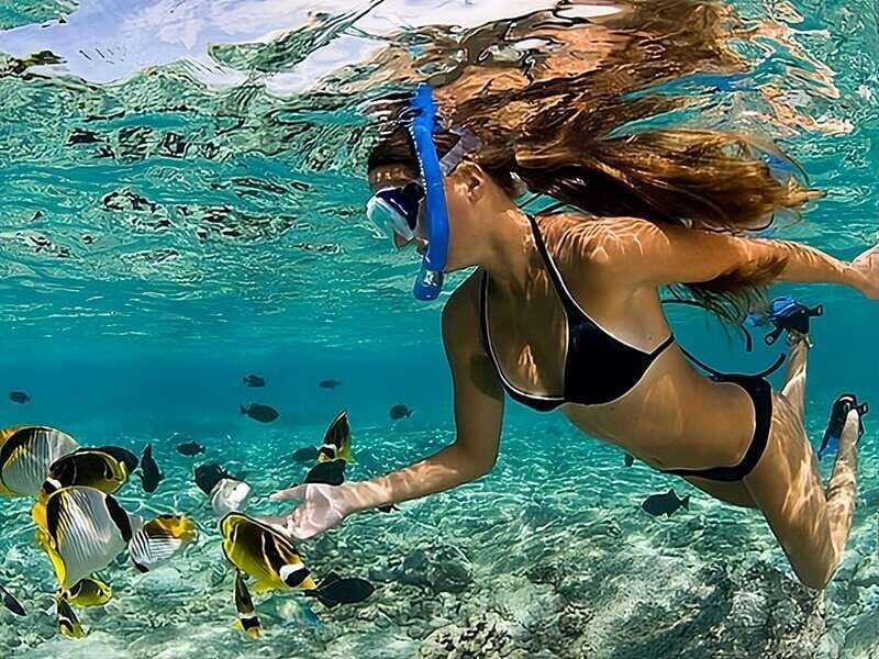 Catalina Island Full-Day Snorkeling + Lunch from Punta Cana - Key Points