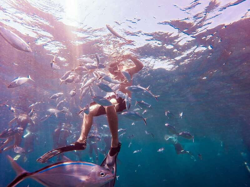 Catalina Island Full-Day Snorkeling + Lunch from Punta Cana - Snorkeling in Los Corales Reef