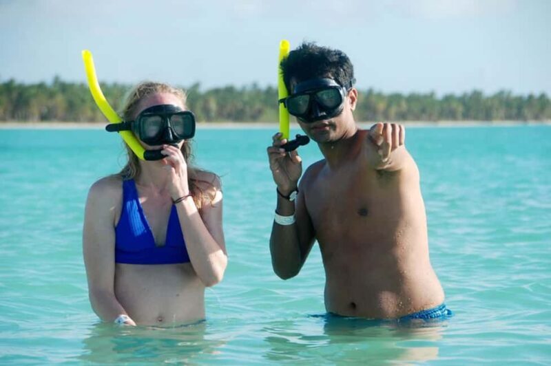 Catalina Island Full-Day Snorkeling Tour - The Itinerary: A Closer Look