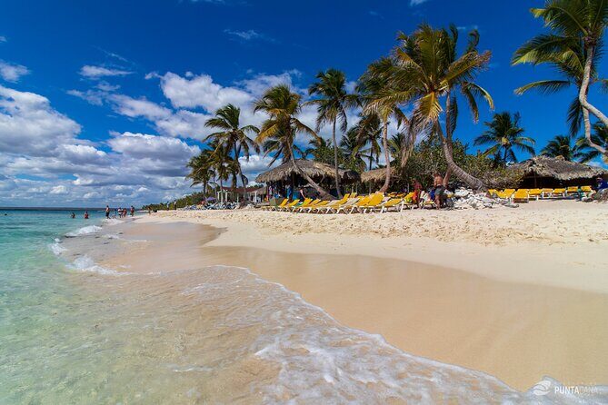 Catalina Island Tour - Catalina Island Tour: A Balanced Look at a Popular Dominican Republic Excursion