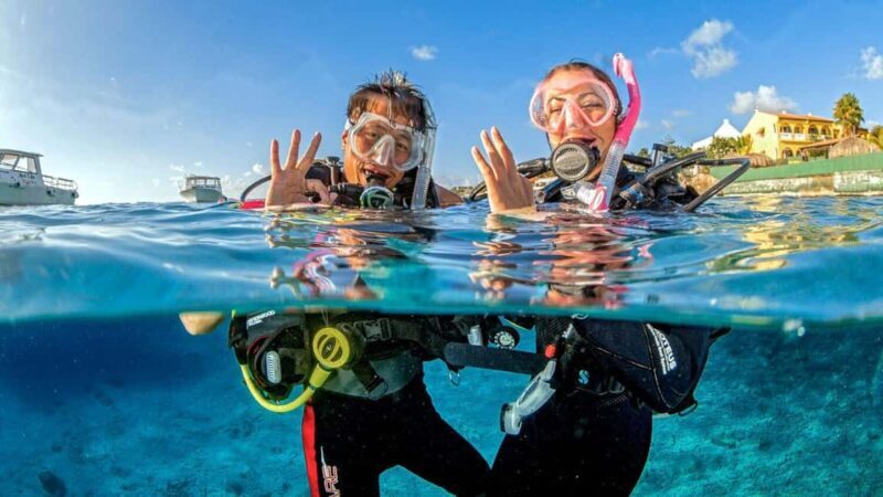 Catalina Island Tour with Snorkelling and Lunch - Value and Pricing