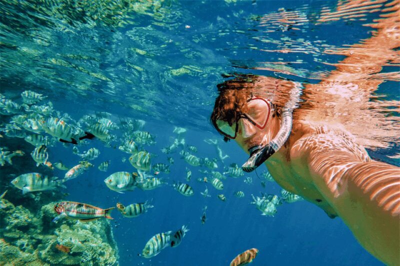 Catalina Island Tour with Snorkelling and Lunch - Authenticity and Experience Quality