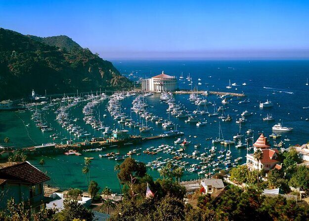 Catalina Island Trip with Zipline Eco Tour and Hotel Transfers - Key Points