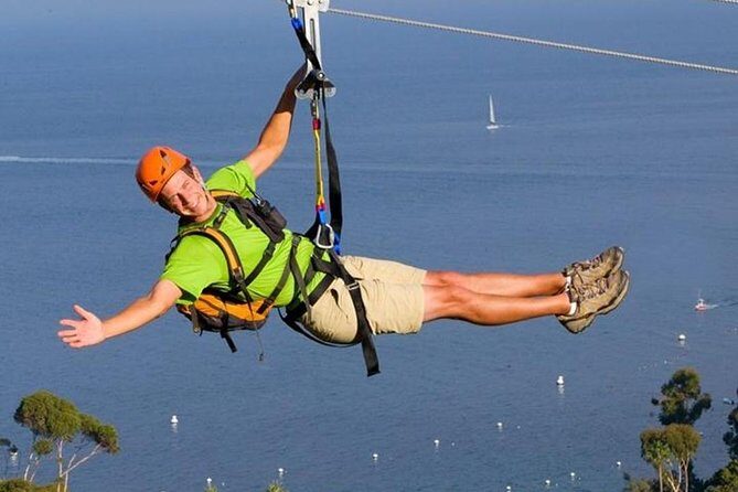 Catalina Island Trip with Zipline Eco Tour and Hotel Transfers - The Itinerary in Detail