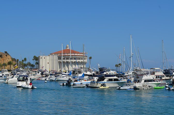 Catalina Island w/Discover Avalon Scenic Tour & Hotel transfers - A Closer Look at the Experience