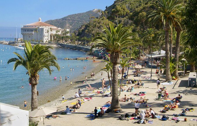 Catalina Island w/Discover Avalon Scenic Tour & Hotel transfers - The Itinerary in Detail