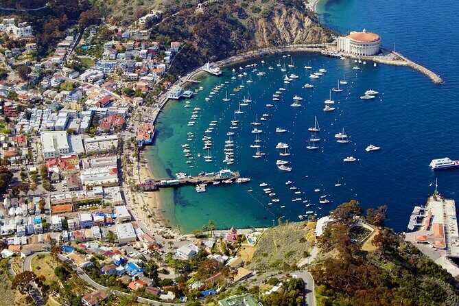 Catalina Island w/Discover Avalon Scenic Tour & Hotel transfers - Authentic Feedback from Travelers